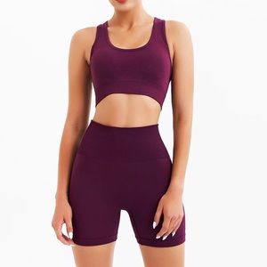 Seamless Yoga Gym Activewear Sets Short Sports Bra